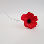  City to come together to mark Remembrance Sunday