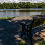 First step towards Sutton Park's 'sustainable future'