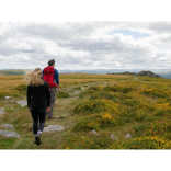 The future of Dartmoor is in your hands