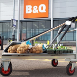 Pupils get gardening thanks to B&Q donation