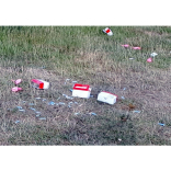 No laughing matter –  in #EpsomParks and #EpsomDowns