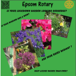 The Beautiful Gardens Of #Epsom And #Ewell - #PhotoCompetition with @EpsomRotary 