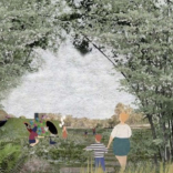 Facelift plans for West Midlands green spaces