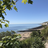 Eastbourne Tree Lovers - We Need You!