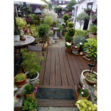 The Beautiful Gardens Of Epsom And Ewell – winners of the Epsom Rotary ‘Lockdown’ Garden photograph Competition
