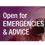 Open For Emergencies & Free Advice