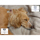 Very Important Pets are always made very welcome at the OGH and Duke of Richmond hotels
