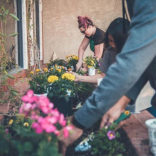 Dozens of submissions for WMCA scheme to help give people better access to nature