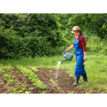 In the Garden, 10 Tips for June