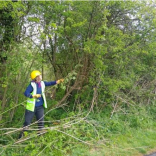 Grants handed out to improve the access to nature across the West Midlands   