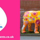 March of the Elephants calls for artists to showcase their skills in sculpture trail set to feature across Lichfield, Tamworth and Sutton Coldfield 