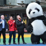 Birmingham set for spectacular Lunar New Year weekend