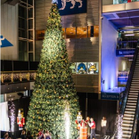 Christmas arrives at Millennium Point as musical icon,  Toyah Willcox, switches on Christmas lights