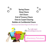 Absolutely Fabulous Cleaning Services