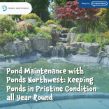 Pond Maintenance with Ponds Northwest: Keeping Ponds in Pristine Condition Year-Round