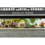 New mural brightens up the centre of Shrewsbury