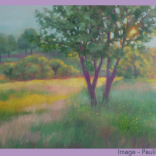Walsall Society of Artists Summer Show 3rd - 31st July 