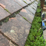 Why Roof Cleaning in Eastbourne Matters Before Winter Hits