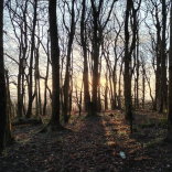 The Hidden Cost of Leadership – Why Even Senior Executives Need Support