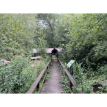 Shrewsbury Town Council invites local groups to apply for community grants