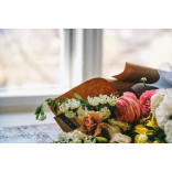 The Absence of Regulation in the Funeral Industry