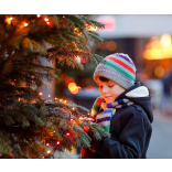 More than 30 stalls already booked for Love Plants Christmas Market