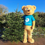 Recycle your Christmas tree for St Wilfrid's Hospice