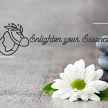 Rediscovering Balance: A Journey Back to Your True Self