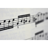Shrewsbury Town Council Announces Return of ‘Summer of Music’ for 2026