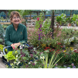 Botanica Garden Design: One year in business, what I've learned.
