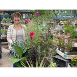 Boost Workplace Wellbeing with the Power of Plants