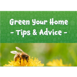 Green Your Home: Small Changes That Can Make a Big Difference