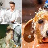 How to Stay Safe During a Heatwave in Eastbourne