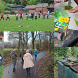 Explore Walsall's great outdoors with free family activities this summer