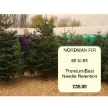 Christmas is just around the corner, so it’s time to launch this year’s prices for our British-grown trees 😍. 