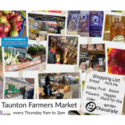 Taunton Farmer’s Market: Supporting Local for Over 20 Years – Rain or Shine!