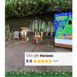 Tweseldown Pub Selling Christmas Trees in Fleet marks 15 years