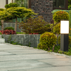 Outdoor Lighting Can Transform Your Garden