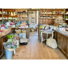 The Trading Point: A Lifestyle & Gifting Hub in St Lawrence