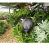 Transform Your New-Build Garden in Kettering with Hedging and Colourful Plants from Richard's Plants & Nursery