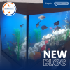 Welcome to the thebestofblackburn Community: Aqualease Aquarium Hire