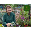 What are the Benefits of Using a Garden Designer?