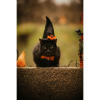 Halloween and Foster Care in Shropshire: Helping Children Feel Safe