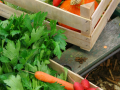 Local produce in Sutton Coldfield