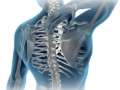 physiotherapy-walsall