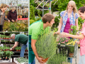 Garden Centres and Nurseries in Eastbourne