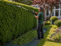 Hedge Cutting