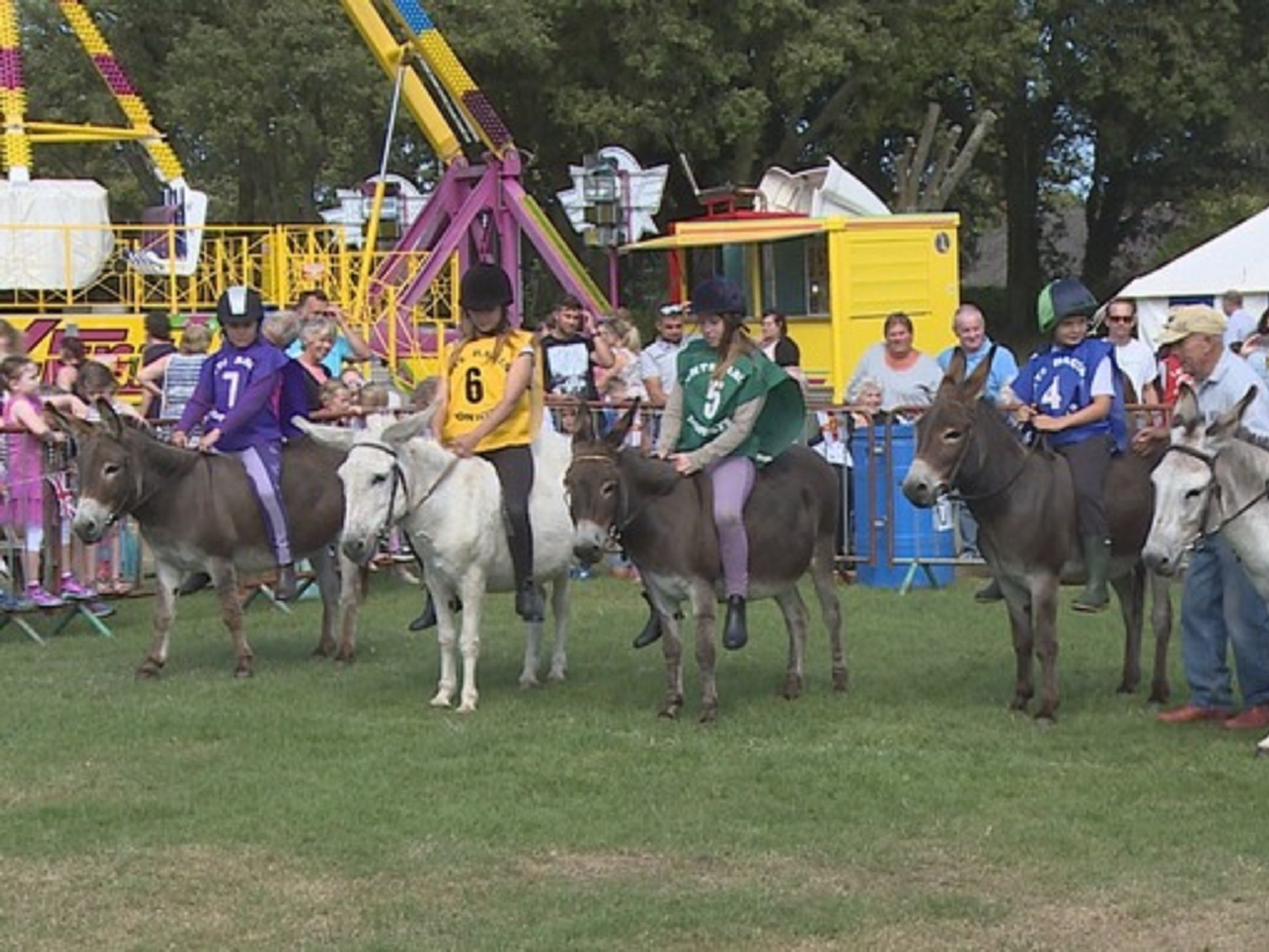 Donkey Derby