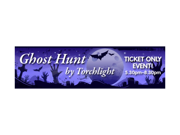 GHOST HUNT BY TORCHLIGHT