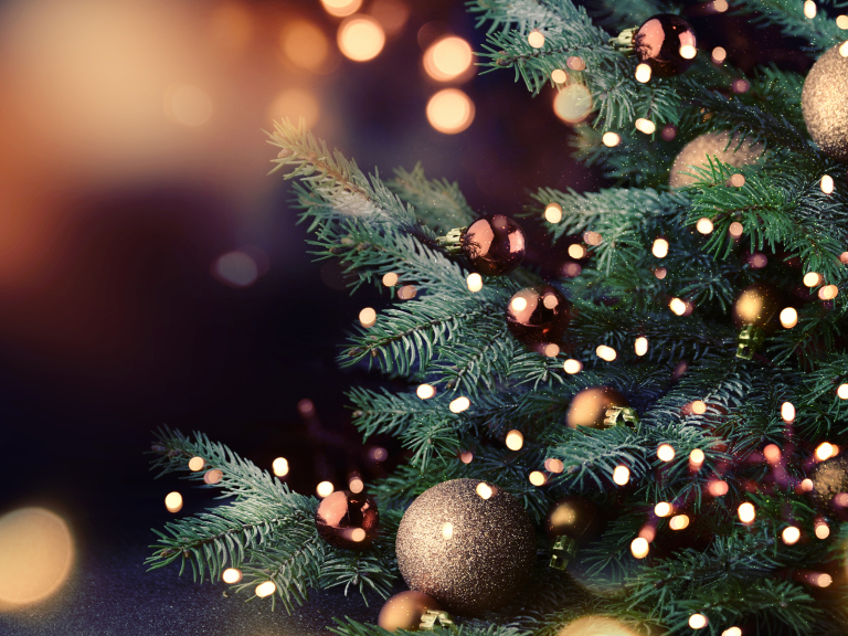 Christmas Party Nights at Huish Park